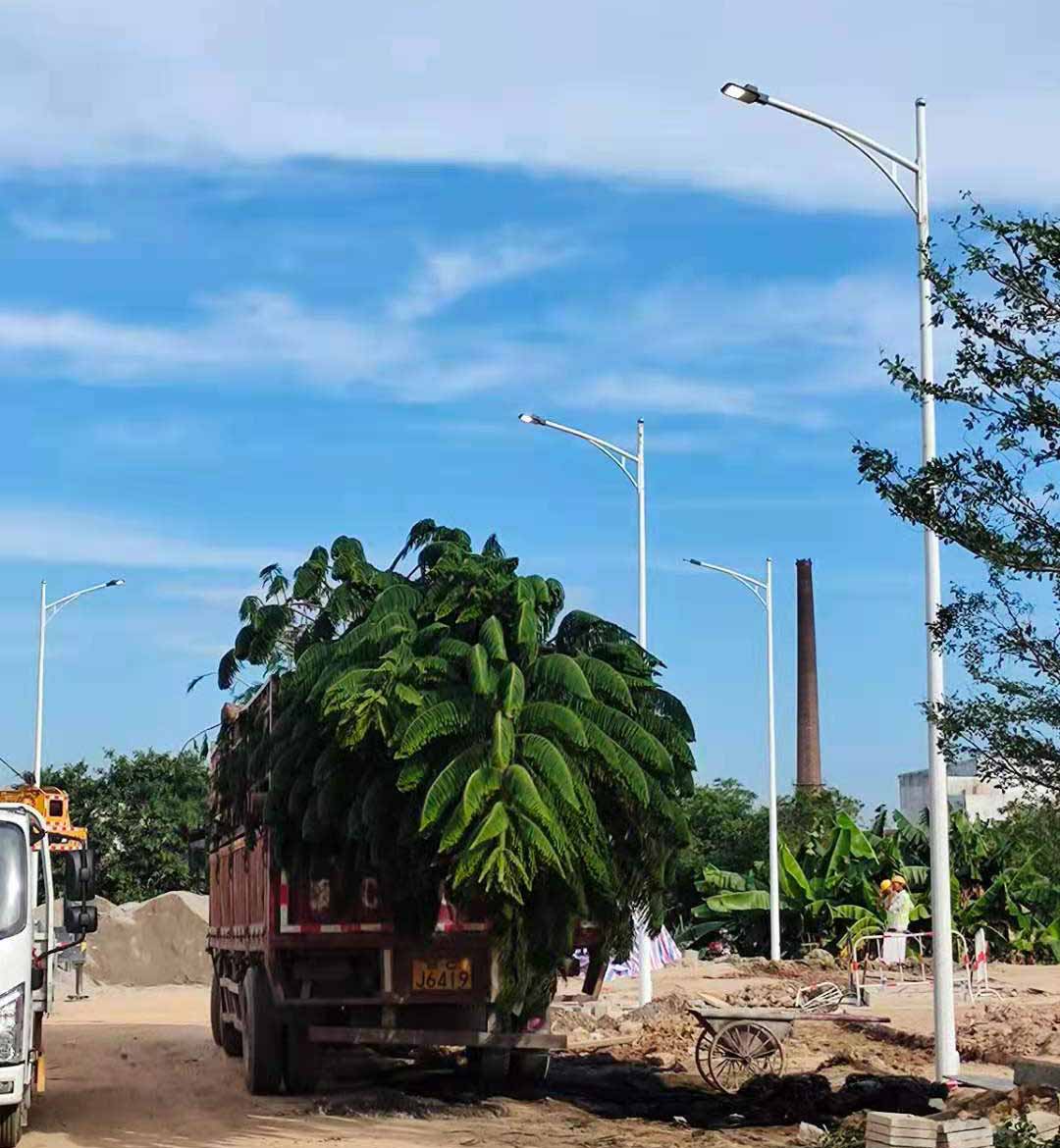 开云在线注册,开云（中国）助力东莞洪梅万科星城道路亮化工程